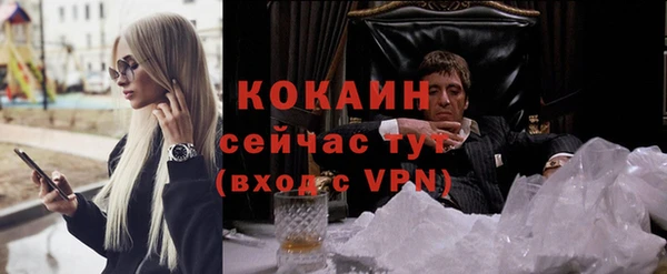соль ск Алексин