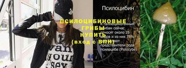 шишки Алзамай