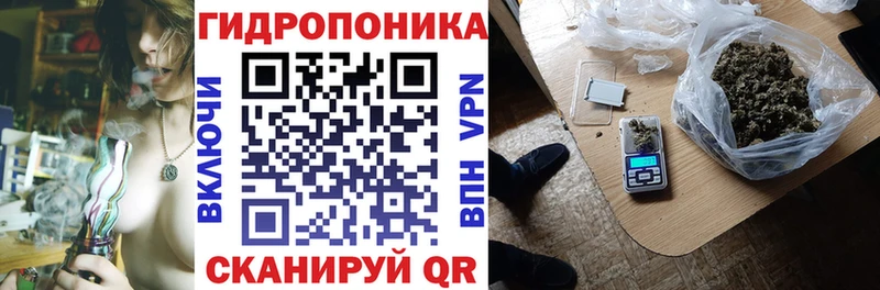 Бошки Шишки MAZAR Дудинка